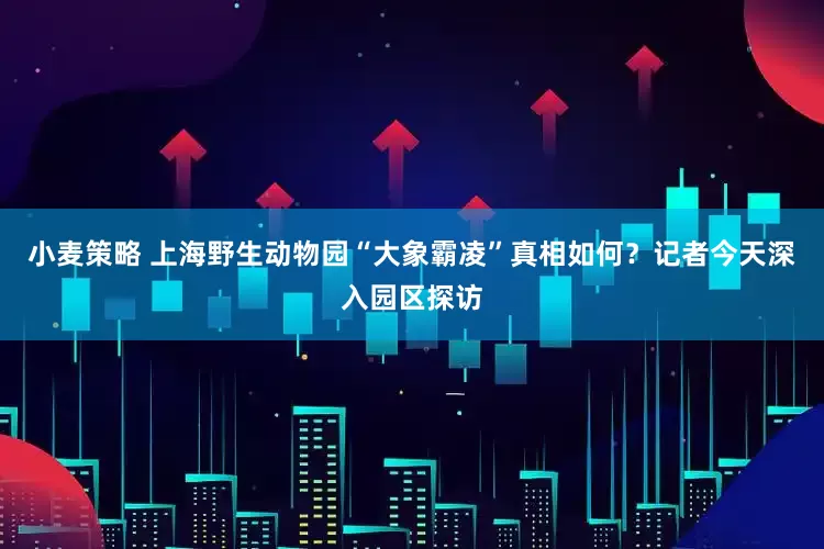 小麦策略 上海野生动物园“大象霸凌”真相如何？记者今天深入园区探访